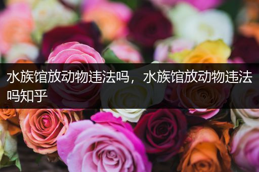 水族馆放动物违法吗，水族馆放动物违法吗知乎