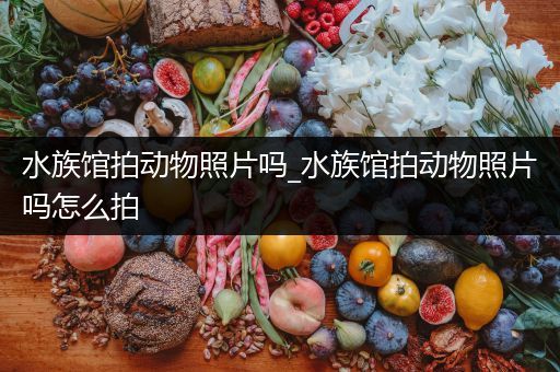 水族馆拍动物照片吗_水族馆拍动物照片吗怎么拍