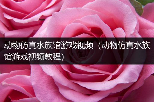 动物仿真水族馆游戏视频（动物仿真水族馆游戏视频教程）