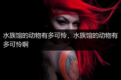 水族馆的动物有多可怜，水族馆的动物有多可怜啊