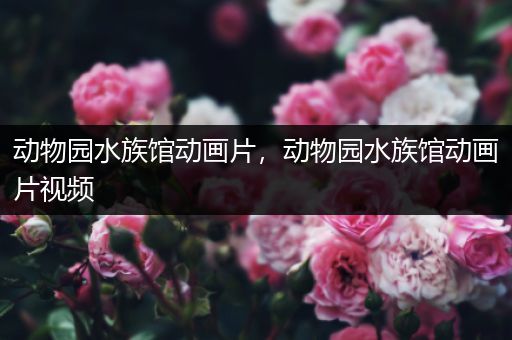 动物园水族馆动画片，动物园水族馆动画片视频