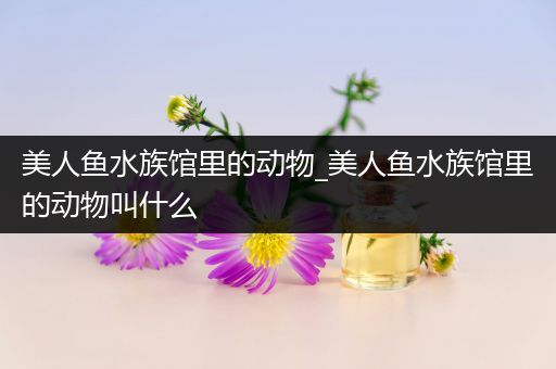 美人鱼水族馆里的动物_美人鱼水族馆里的动物叫什么