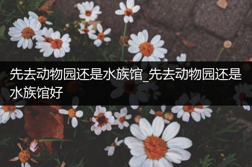 先去动物园还是水族馆_先去动物园还是水族馆好