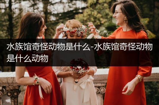 水族馆奇怪动物是什么-水族馆奇怪动物是什么动物