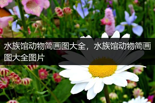 水族馆动物简画图大全，水族馆动物简画图大全图片