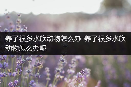 养了很多水族动物怎么办-养了很多水族动物怎么办呢