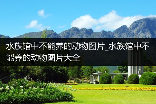 水族馆中不能养的动物图片_水族馆中不能养的动物图片大全