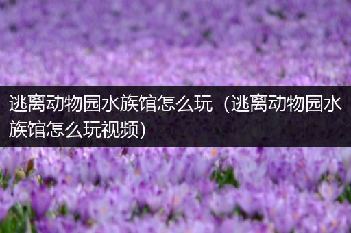 逃离动物园水族馆怎么玩（逃离动物园水族馆怎么玩视频）