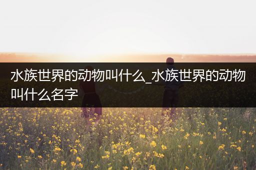 水族世界的动物叫什么_水族世界的动物叫什么名字