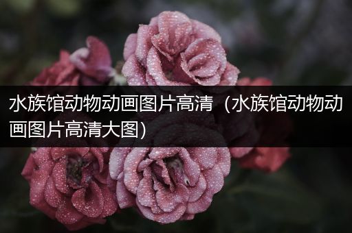 水族馆动物动画图片高清（水族馆动物动画图片高清大图）