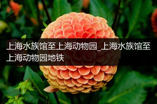 上海水族馆至上海动物园_上海水族馆至上海动物园地铁