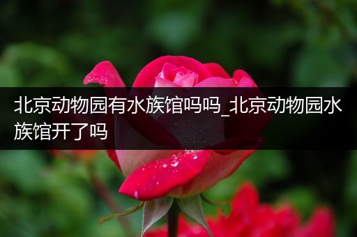 北京动物园有水族馆吗吗_北京动物园水族馆开了吗