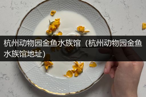 杭州动物园金鱼水族馆（杭州动物园金鱼水族馆地址）