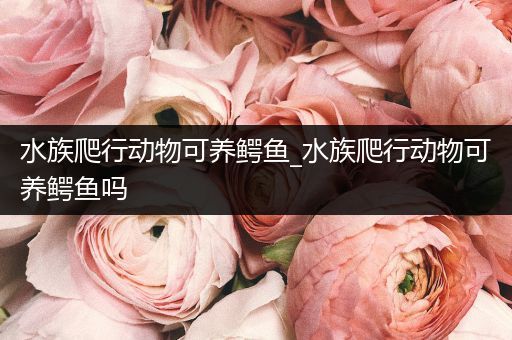 水族爬行动物可养鳄鱼_水族爬行动物可养鳄鱼吗