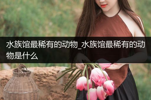 水族馆最稀有的动物_水族馆最稀有的动物是什么