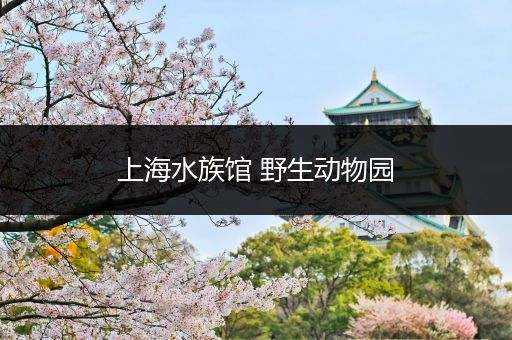上海水族馆 野生动物园