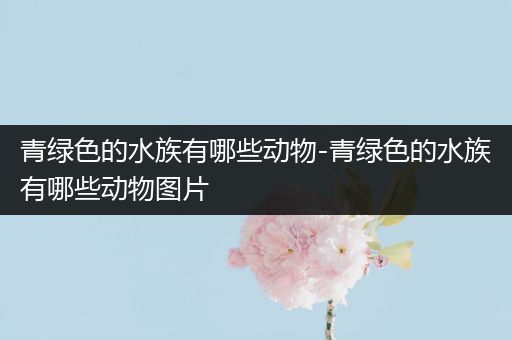 青绿色的水族有哪些动物-青绿色的水族有哪些动物图片