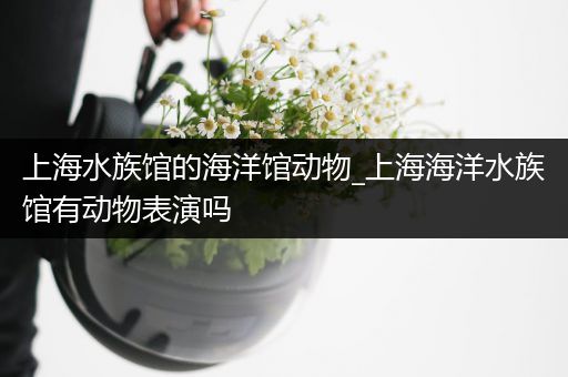 上海水族馆的海洋馆动物_上海海洋水族馆有动物表演吗