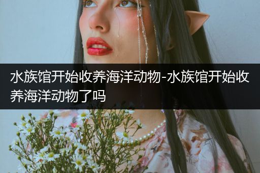 水族馆开始收养海洋动物-水族馆开始收养海洋动物了吗