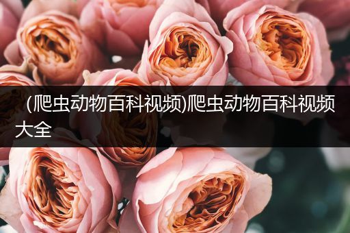 （爬虫动物百科视频)爬虫动物百科视频大全