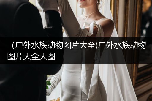 （户外水族动物图片大全)户外水族动物图片大全大图