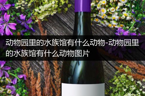 动物园里的水族馆有什么动物-动物园里的水族馆有什么动物图片
