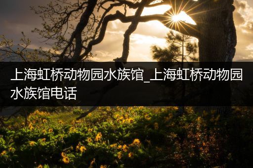 上海虹桥动物园水族馆_上海虹桥动物园水族馆电话