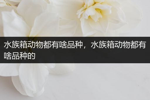 水族箱动物都有啥品种，水族箱动物都有啥品种的