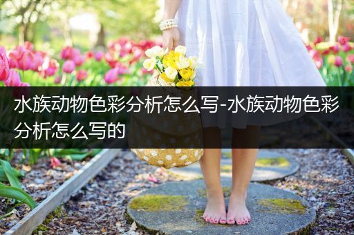 水族动物色彩分析怎么写-水族动物色彩分析怎么写的