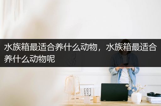 水族箱最适合养什么动物，水族箱最适合养什么动物呢