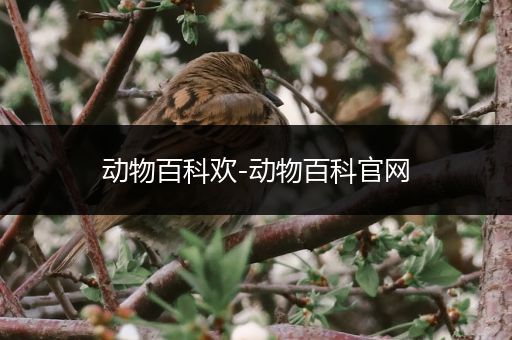 动物百科欢-动物百科官网