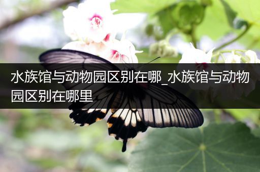 水族馆与动物园区别在哪_水族馆与动物园区别在哪里