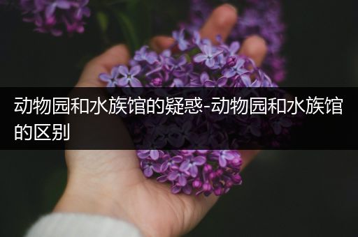 动物园和水族馆的疑惑-动物园和水族馆的区别