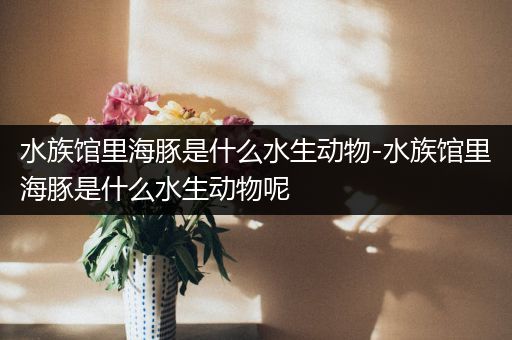 水族馆里海豚是什么水生动物-水族馆里海豚是什么水生动物呢