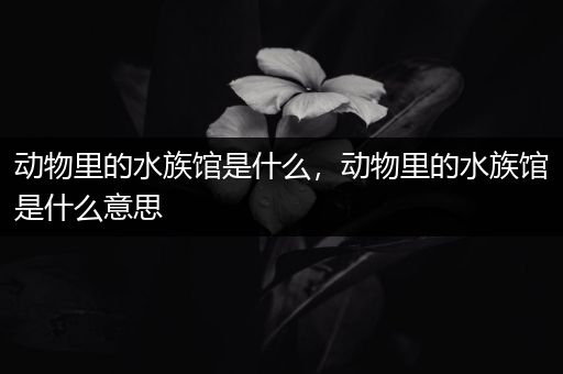 动物里的水族馆是什么，动物里的水族馆是什么意思