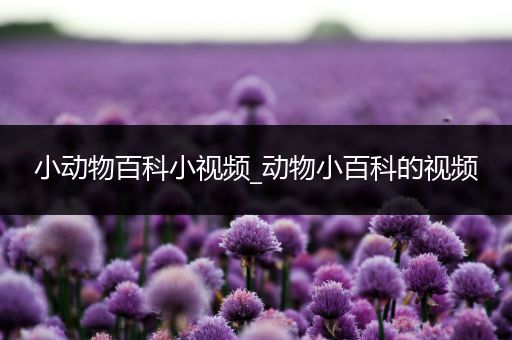 小动物百科小视频_动物小百科的视频