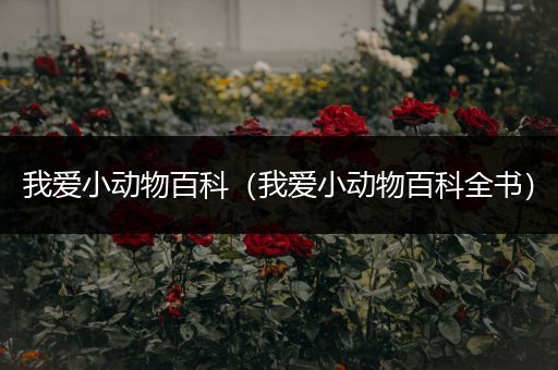 我爱小动物百科（我爱小动物百科全书）