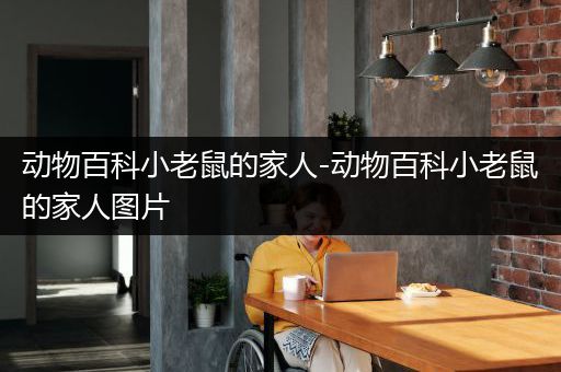 动物百科小老鼠的家人-动物百科小老鼠的家人图片