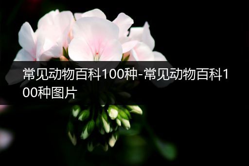 常见动物百科100种-常见动物百科100种图片
