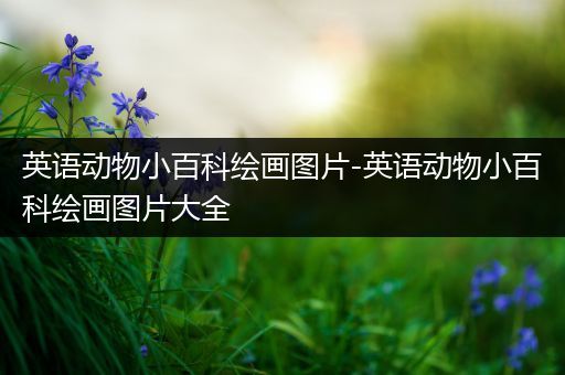 英语动物小百科绘画图片-英语动物小百科绘画图片大全