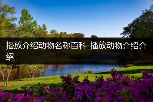 播放介绍动物名称百科-播放动物介绍介绍