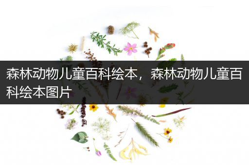 森林动物儿童百科绘本，森林动物儿童百科绘本图片