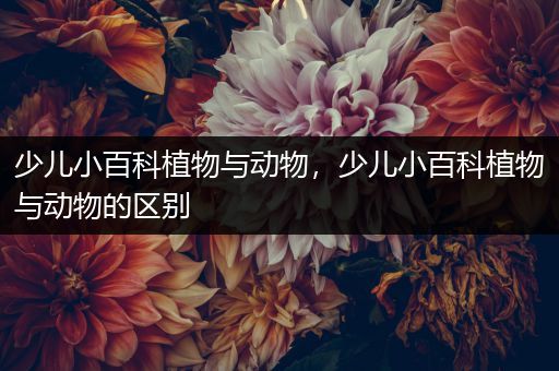 少儿小百科植物与动物，少儿小百科植物与动物的区别