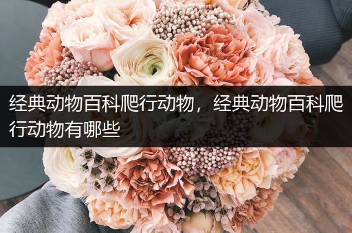 经典动物百科爬行动物，经典动物百科爬行动物有哪些