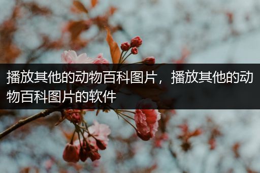 播放其他的动物百科图片，播放其他的动物百科图片的软件