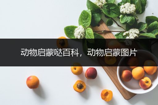 动物启蒙哒百科，动物启蒙图片