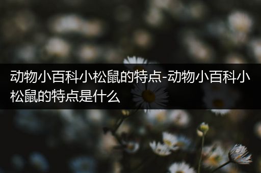 动物小百科小松鼠的特点-动物小百科小松鼠的特点是什么