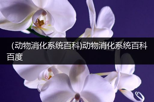（动物消化系统百科)动物消化系统百科百度