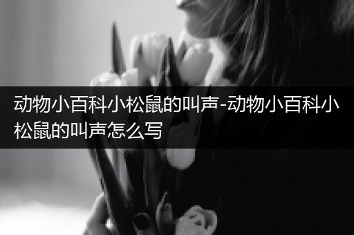 动物小百科小松鼠的叫声-动物小百科小松鼠的叫声怎么写