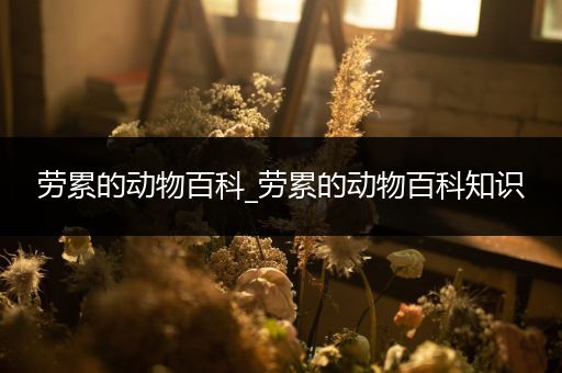 劳累的动物百科_劳累的动物百科知识